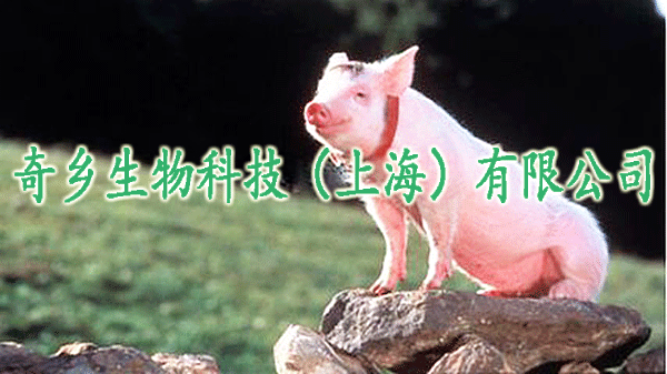 t019f3812a1ed952569.gif