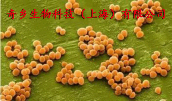 Pe45dc27043c3476cb2a8cca223970f29.gif