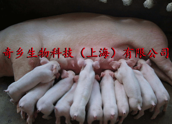 20150703035103161.gif