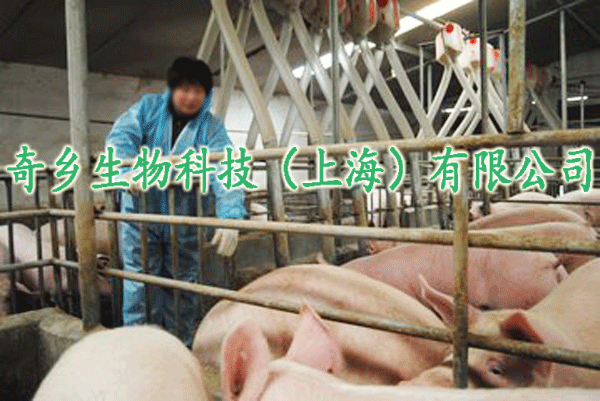 t01b390411a56f91700.gif