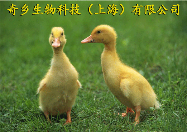 m2014031122513139.gif