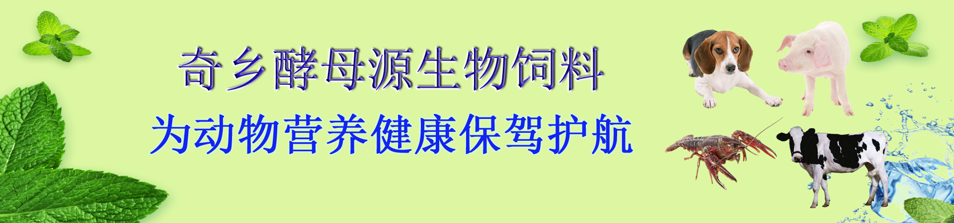 通栏图片